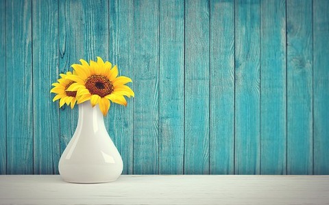 sun-flower-3292932__340