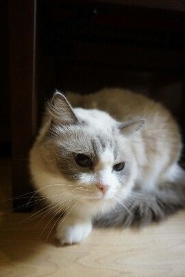 _DSC0025-270x404