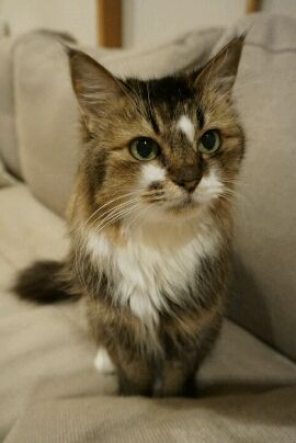_DSC3122_crop_270x404