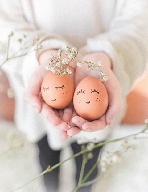 dream-eggs