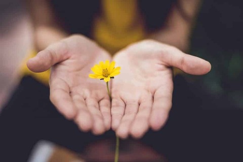 receive-your-gift