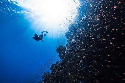 into-deep-sea