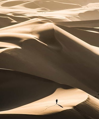walking-desert