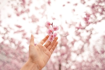 hand-2606236_1280