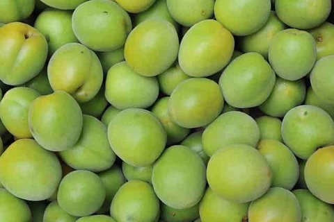 ume