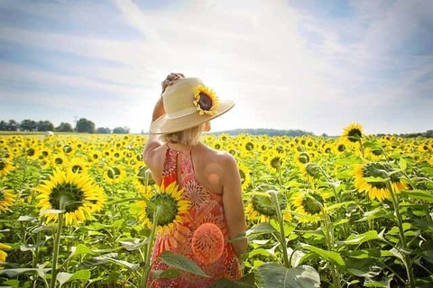 woman-in-sunflower