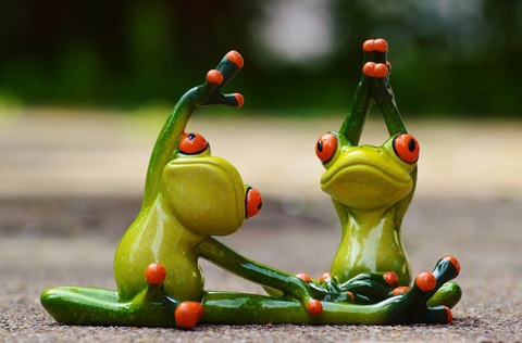 sport-frog