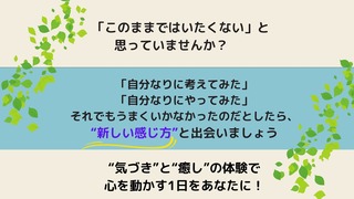 �����󥻥�󥰥����ӥ� ���䤷��1DAY�������å�