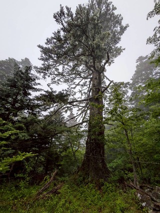 �ٻβ�����゙���ĥ���_260604_14