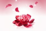 43f281bb161cc5c8ef43ba4f941cf378_s