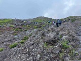 IMG_4016