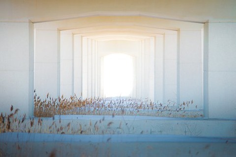 bridge-4456255__340