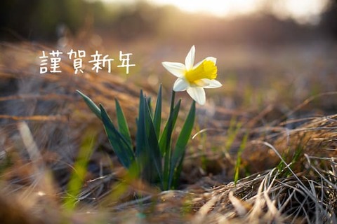 謹賀新年