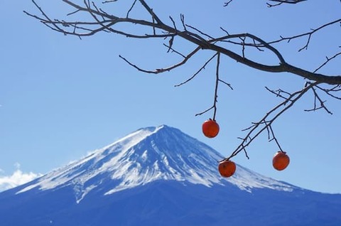 富士山
