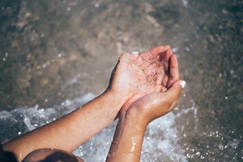 すくい水