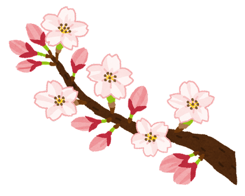 桜