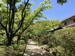 FAFC3653-1C31-48B7-BEEE-8D447C067A1D