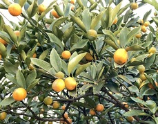 8551BD42-30CA-4517-ACDF-7261B7F92457