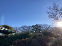 2023.1.1 ikegamikaikan