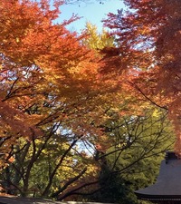 3B9B2D8D-6124-41A0-921F-86DA29434C73