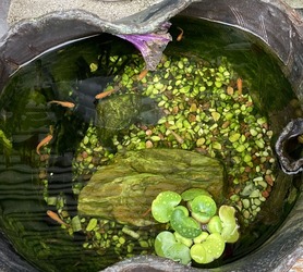 F7435FBA-0C55-4B48-B4C4-3CCFF5F6EB1E