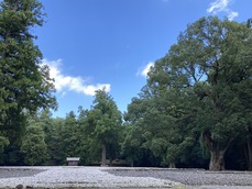 20DE60E4-0DC1-4784-A193-20BB02B21673