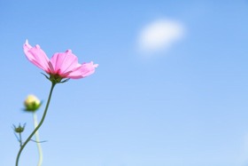 GAK86_kosumosuaozora_TP_V4