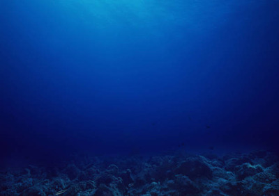 istockphoto-641015128-612x612