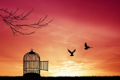 depositphotos_29460297-stock-photo-bird-cage