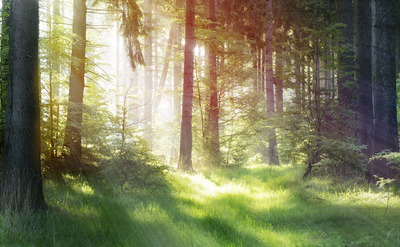 Photoshop-shine-brightness-effect-fin1