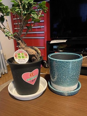 s-IMG_9767