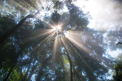 sunshine-4201325_960_720