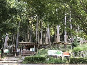 IMG_8524