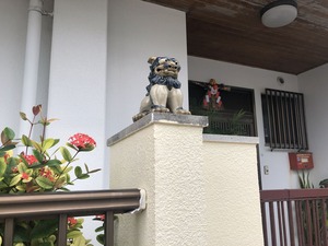 IMG_9436