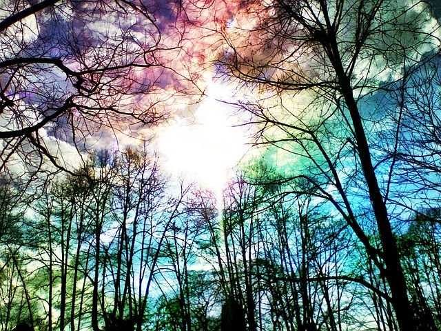 心理カウンセラー 眞田 遊子