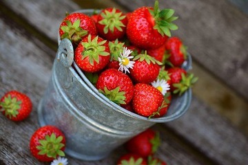 strawberries-3431122__340[1]