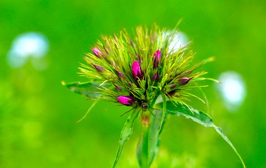 彼が離れていきそう 離れてしまったそんなとき 心理カウンセラー 眞田 遊子