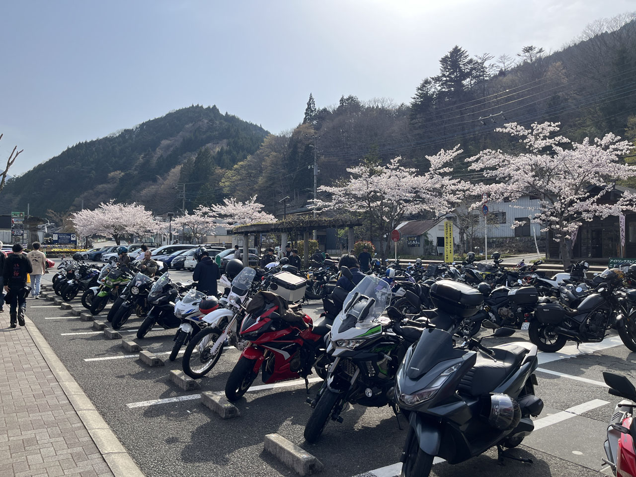 X-ADVとナンシーおじさん : Salaryman C3