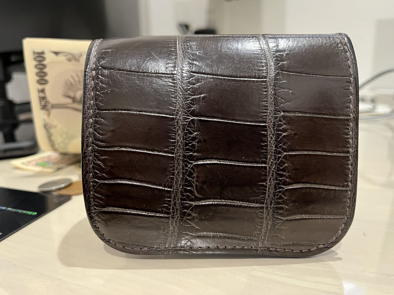 お手入れ】WILDSWANS PALM-V2 クロコ【9か月経過】 : Salaryman C3