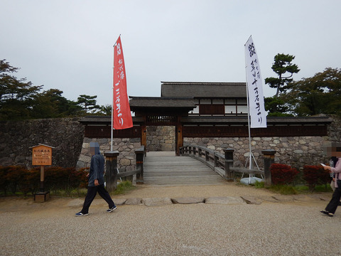 ngn201510 (4)