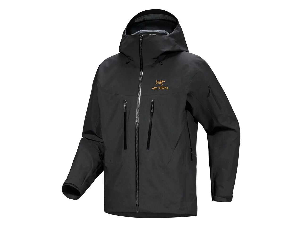 アークテリクス アルファSVジャケットの2025年モデルを買おうと思った