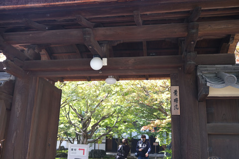 DSCF2041