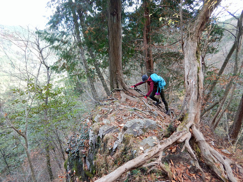 ozk20151121 (8)