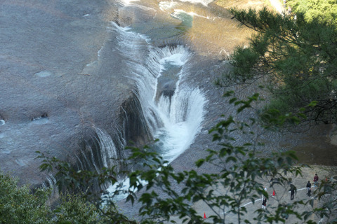 L1002050
