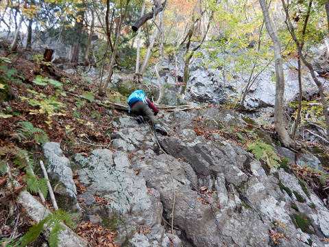 ozk20151121 (3)