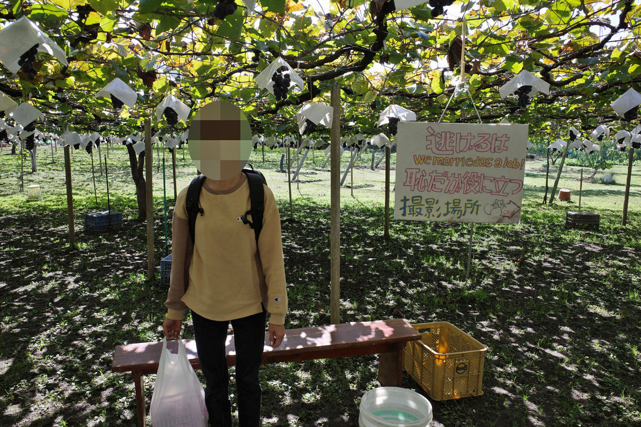 逃げるは恥だが役に立つ聖地巡り 山梨 Salaryman C3 逃げるは恥だが役に立つ聖地巡り 山梨 Salaryman C3