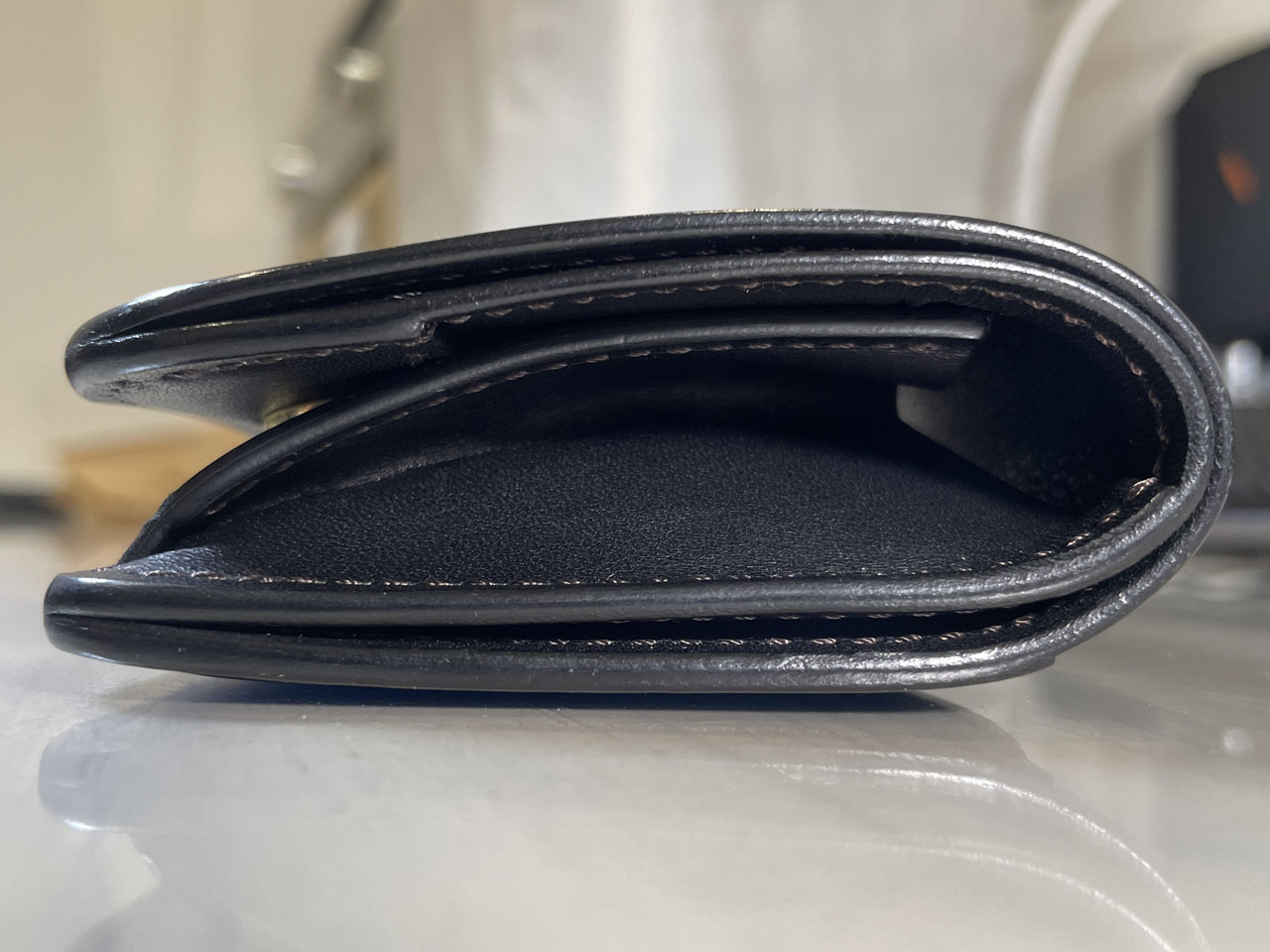 WILDSMANS PALM パーム コインケース ポロサス（WILDSWANS ワイルド 