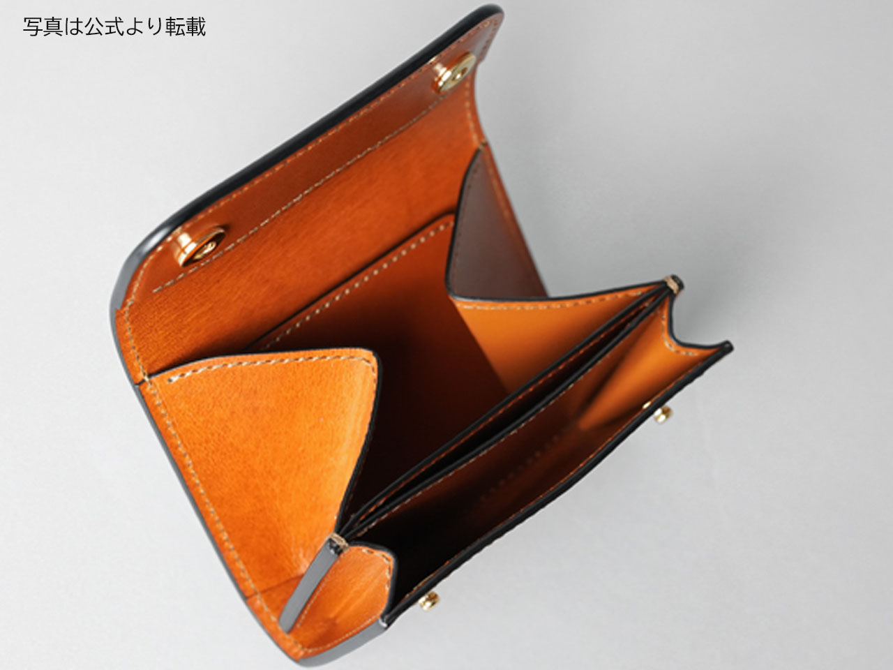 ワイルドスワンズ PONT : Salaryman C3
