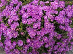 IMG_20200604_172518
