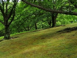 IMG_20200614_150830